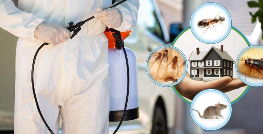 Atabey Böcek İlaçlama