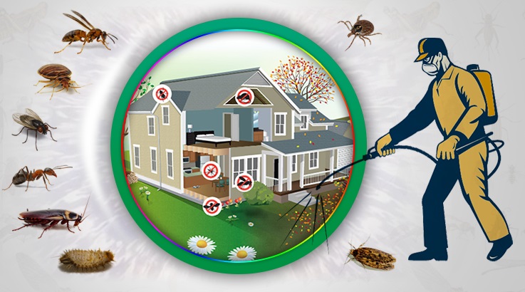 Atabey Böcek İlaçlama