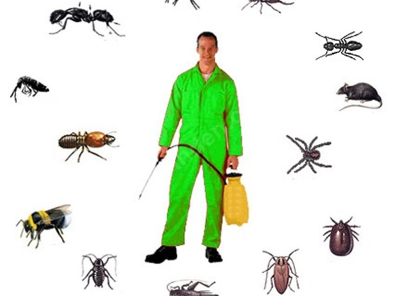 Atabey Böcek İlaçlama